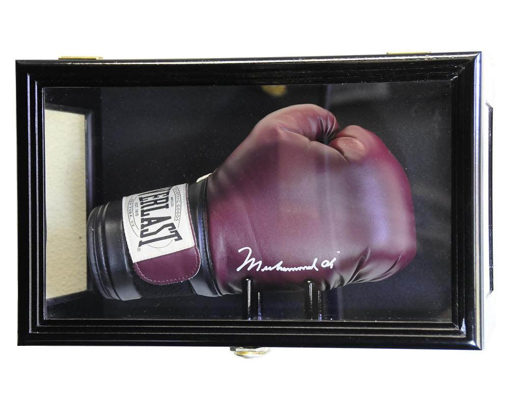 Boxing Glove Display Case wall Mounting Free standing Walnut
