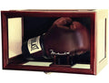 Boxing Glove Display Case (Wall Mounting/Free Standing) - sfDisplay.com