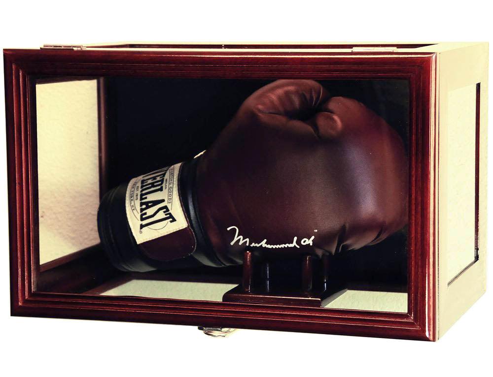 Boxing Glove Display Case (Wall Mounting/Free Standing)